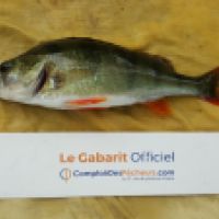 photo prise 6568 par Mr Perche 