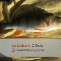 photo prise 6569 par Mr Perche 
