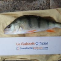 photo prise 6570 par Mr Perche 