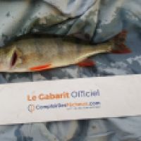 photo prise 6571 par Mr Perche 