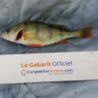 photo prise 6572 par Mr Perche 