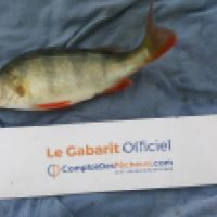 photo prise 6573 par Mr Perche 