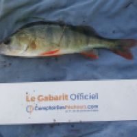 photo prise 6574 par Mr Perche 