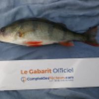 photo prise 6575 par Mr Perche 