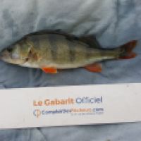 photo prise 6576 par Mr Perche 
