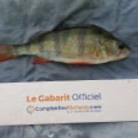 photo prise 6577 par Mr Perche 