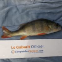 photo prise 6579 par Mr Perche 