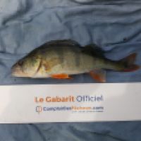 photo prise 6580 par Mr Perche 