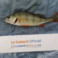 photo prise 6581 par Mr Perche 