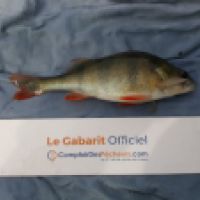 photo prise 6582 par Mr Perche 