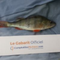 photo prise 6583 par Mr Perche 