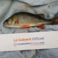 photo prise 6584 par Mr Perche 