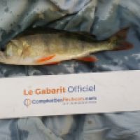 photo prise 6585 par Mr Perche 