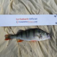 photo prise 6586 par Mr Perche 