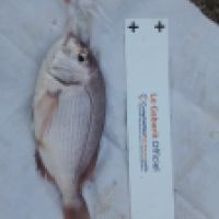 photo prise 6645 par Tse-tse la Mouche