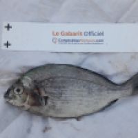 photo prise 6647 par Tse-tse la Mouche