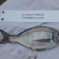 photo prise 6648 par Tse-tse la Mouche