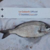 photo prise 6649 par Tse-tse la Mouche