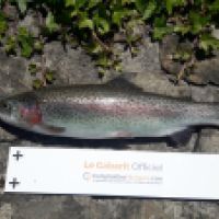 photo prise 6650 par Tse-tse la Mouche