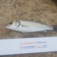 photo prise 7248 par Thomas