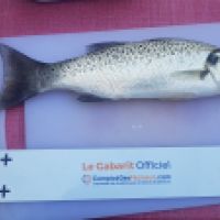 photo prise 7250 par Thomas