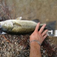 photo prise 7270 par Fishing12