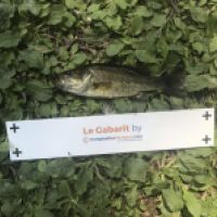 photo prise 7290 par Gabriel