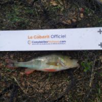 photo prise 7437 par Fisherman57