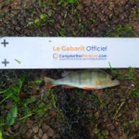 photo prise 7505 par Fisherman57