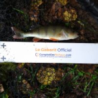 photo prise 7506 par Fisherman57