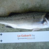 photo prise 7715 par Jeannot