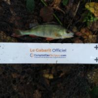 photo prise 7716 par Fisherman57
