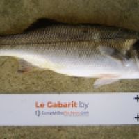 photo prise 7845 par Jeannot