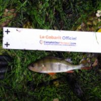 photo prise 7854 par Fisherman57