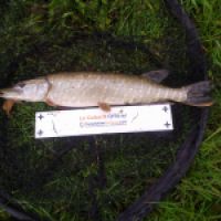 photo prise 7894 par Fisherman57