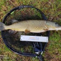 photo prise 7904 par Fisherman57