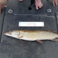 photo prise 8103 par Axel_fishing15
