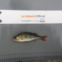 photo prise 8410 par BASTIEN BELTRAMI