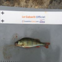 photo prise 8416 par BASTIEN BELTRAMI