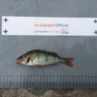 photo prise 8460 par BASTIEN BELTRAMI
