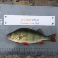 photo prise 8463 par BASTIEN BELTRAMI