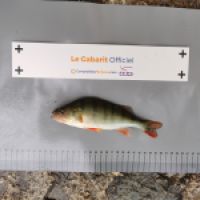 photo prise 8483 par LEONARD CLUYTENS