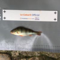photo prise 8493 par BASTIEN BELTRAMI
