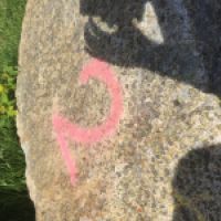 photo prise 8601 par Rigo
