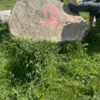 photo prise 8634 par Guez