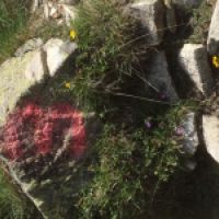 photo prise 8642 par Rigo