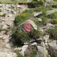 photo prise 8667 par Romain Mengual