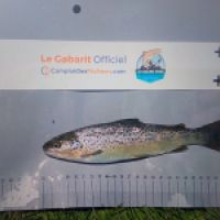 photo prise 8698 par Lucas66