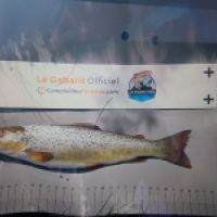 photo prise 8703 par totosfishing46