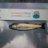 photo prise 8705 par La fesse gauche